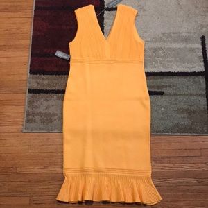 NWT Eva mendes dress